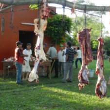 Fiesta Patronal 2014; A 2-day affair, Day 1 of our fiesta begins with killing a cow and preparing the meat for tomorrow's BBQ. Large parts are hung until ready for cutting into smaller chunks. Day 2 is the actual BBQ and giant all-day party.